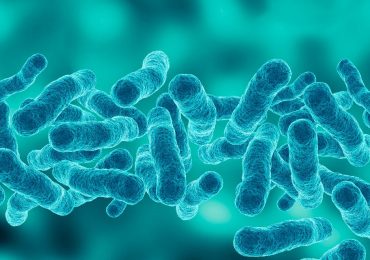 Desarrollan nuevo antibiótico que actúa contra bacterias consideradas amenaza mundial