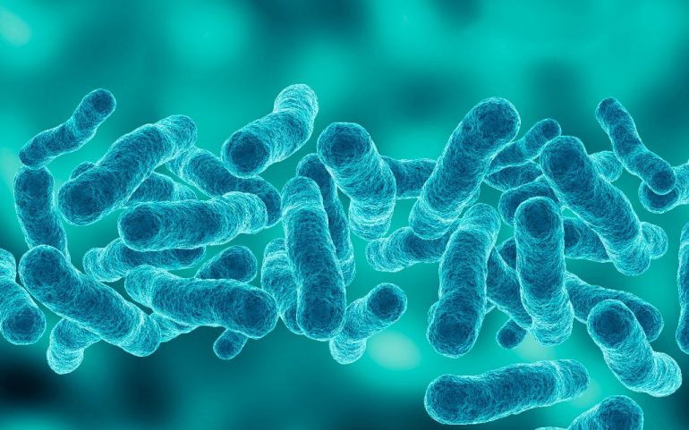 Desarrollan nuevo antibiótico que actúa contra bacterias consideradas amenaza mundial