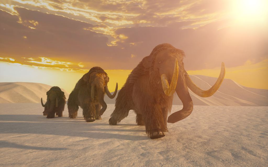 Ilustración de una manada de mamut lanudo