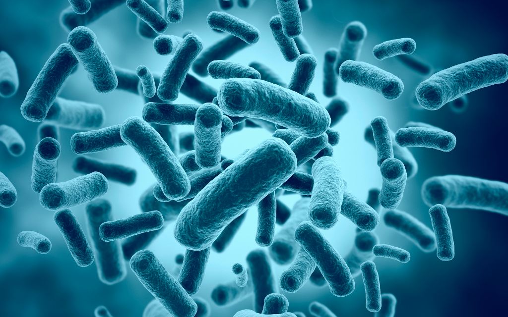 Ilustración de una bacteria
