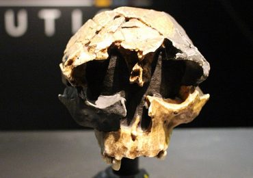 atapuerca-donde-vivio-el-hominido-mas-antiguo-de-europa
