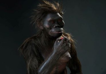 este-es-el-aspecto-de-lucy-la-iconica-australopithecus