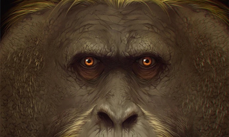la-extincion-de-king-kong-descubren-por-que-desaparecio-el-primate-mas-grande-de-la-tierra