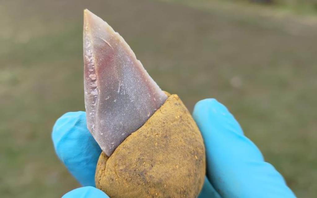 Recreación de herramienta de piedra estaba pegada a un mango hecho de betú