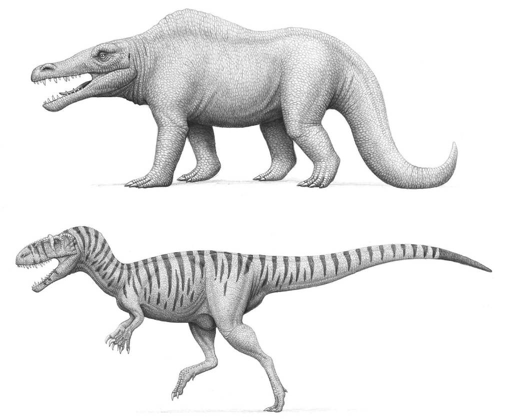 Megalosaurus bucklandii