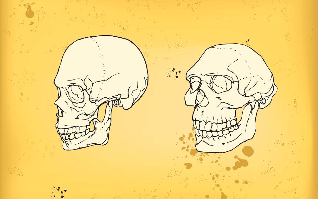 Humanos y neandertales: ¿Qué determinó la supervivencia de unos y la extensión de los otros