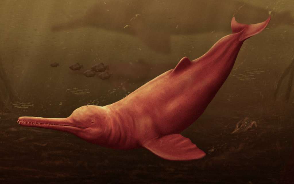 Ilustración del delfín más grande de la historia