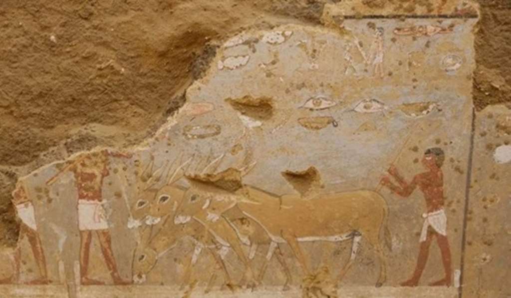 Tumba de hace 4.3000 años revela cómo era la vida cotidiana del antiguo Egipto a través de murales