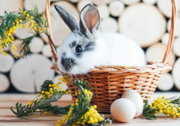 Por qué la Pascua se relaciona con conejos y huevos