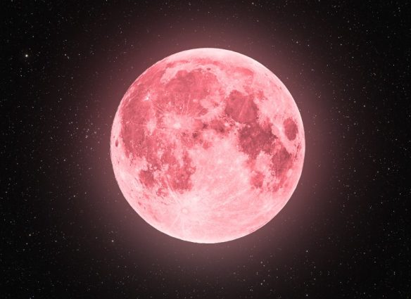 Cómo ver la asombrosa Luna Rosa antes de que acabe abril 2024