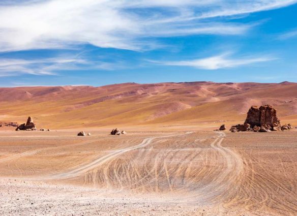 Descubren "biosfera" oculta bajo el desierto de Atacama