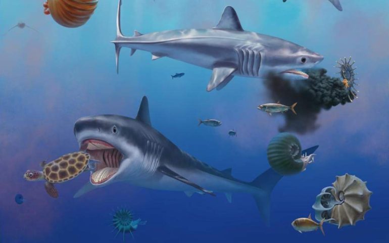 Reconstrucción de un tiburón prehistórico hallado en México