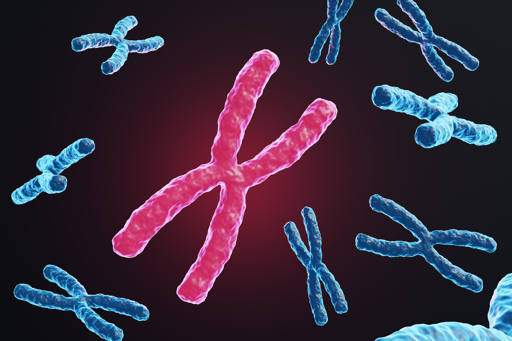estudio-revela-por-que-las-mujeres-son-mas-propensas-a-las-enfermedades-autoinmunes-cromosoma