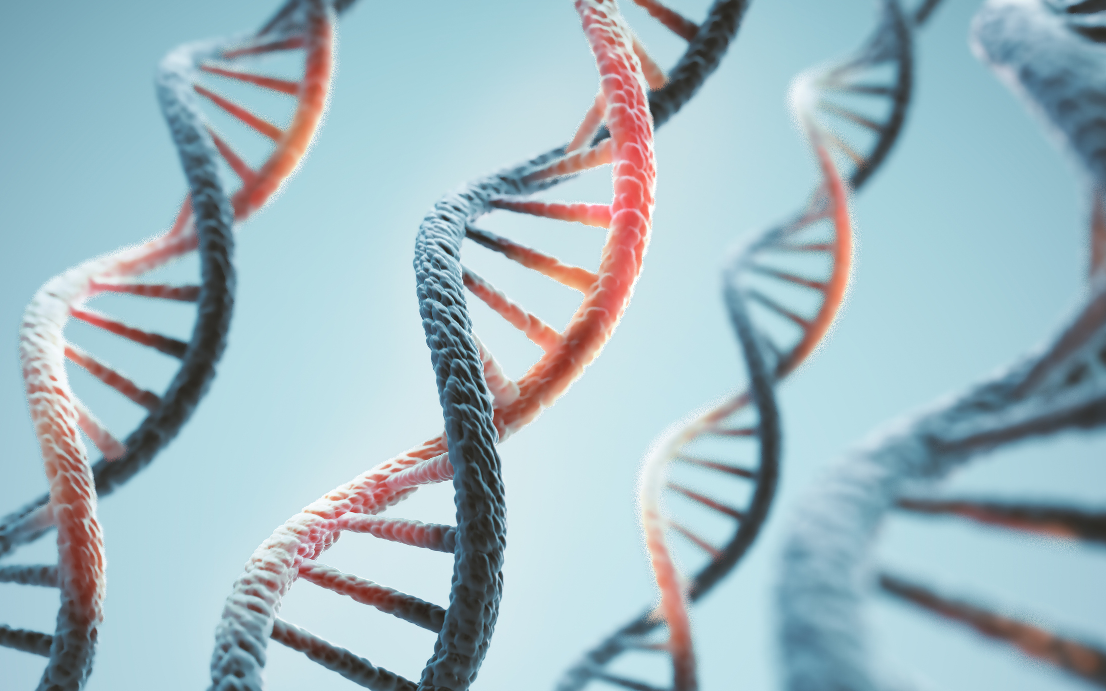 la-creacion-de-cromosomas-artificiales-promete-avances-en-la-genetica-adn