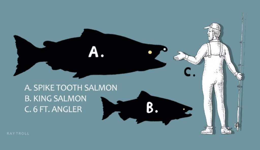 tamaño del salmón dientes de sable
