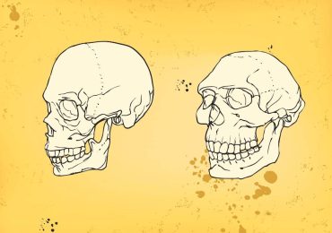 Reconstruyen el rostro de una mujer neandertal que vivió hace 75,000 años